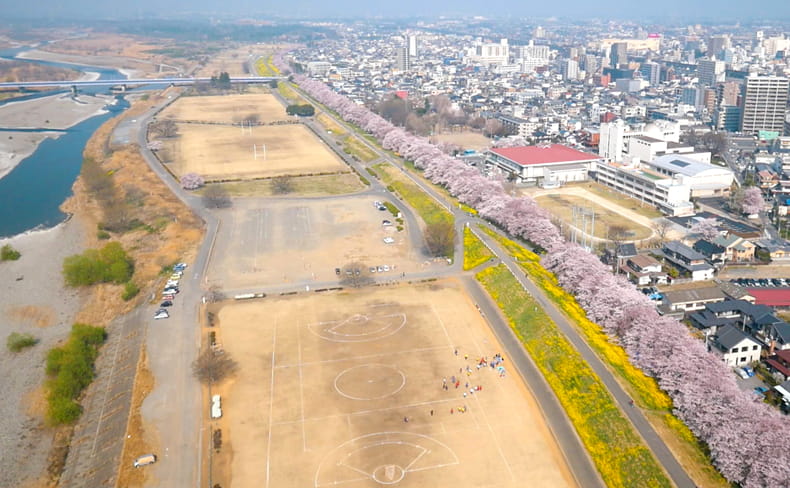 荒川河川敷（熊⾕桜堤）