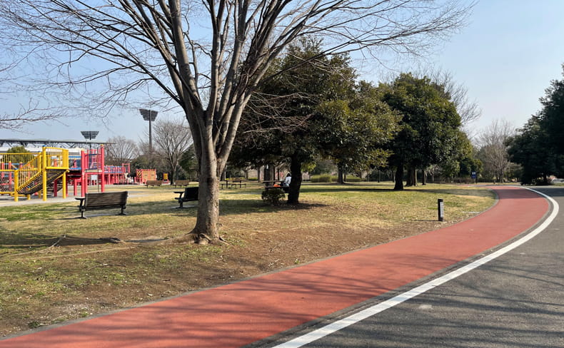 熊⾕スポーツ⽂化公園（ラグビー場）