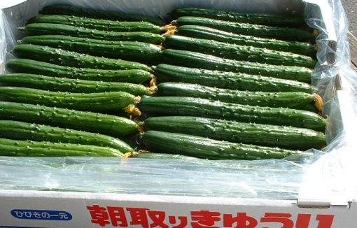 本庄産の農産物