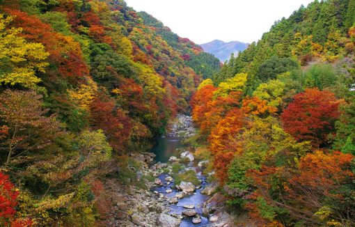 三波石峡の紅葉