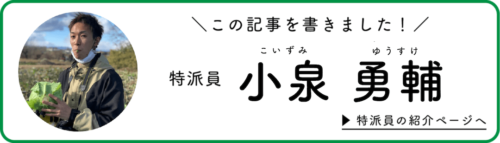 小泉特派員が記事を書きました